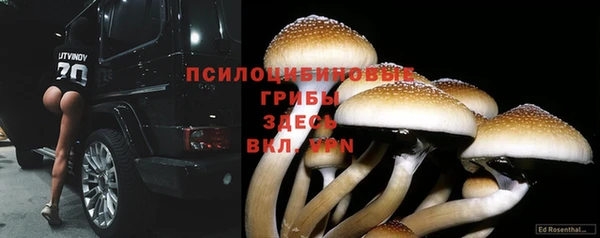 экстази Беломорск